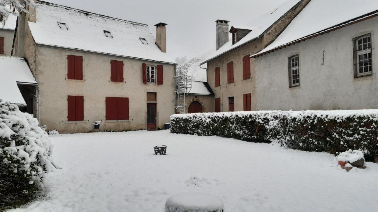 Gite Chaneü Osse-en-Aspe Exterior foto